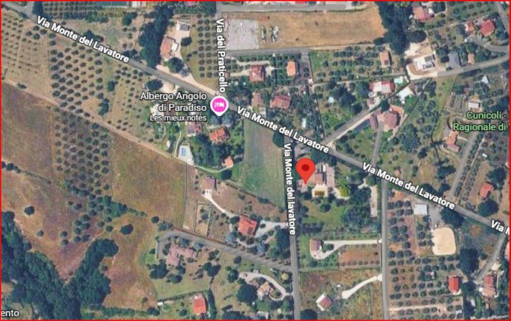 immagine annuncio 11 di 12