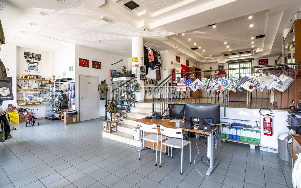 immagine annuncio 1 di 14