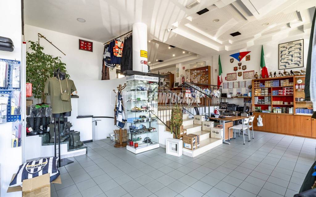 immagine annuncio 2 di 14