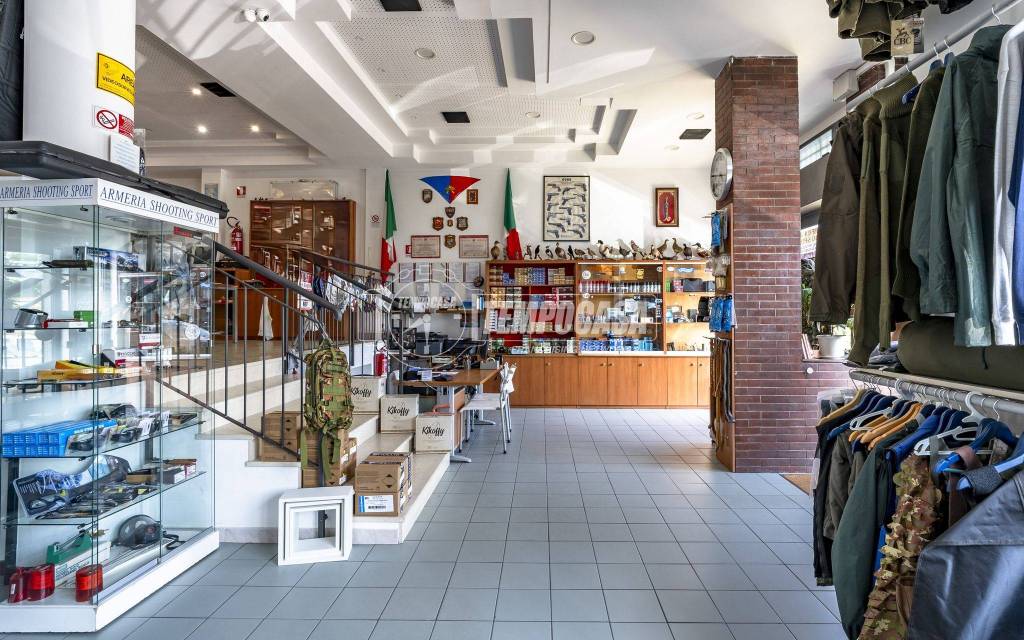 immagine annuncio 3 di 14