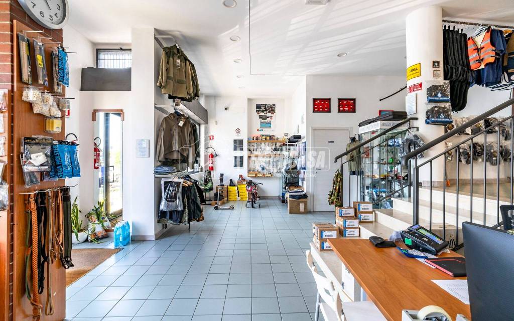 immagine annuncio 4 di 14