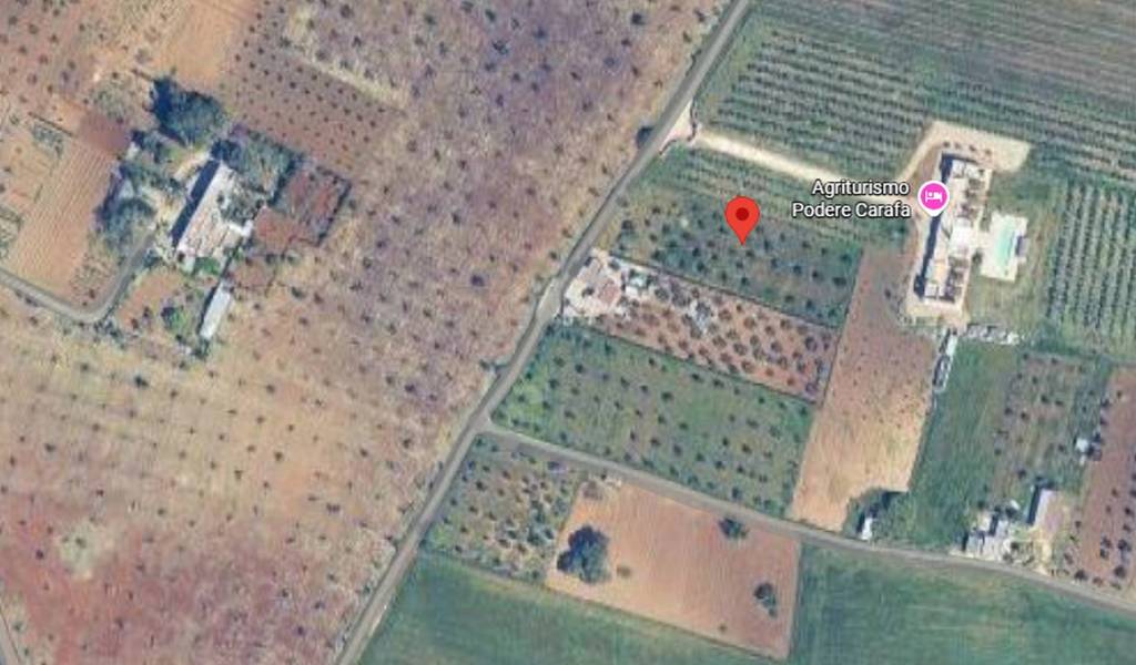 immagine annuncio 6 di 10