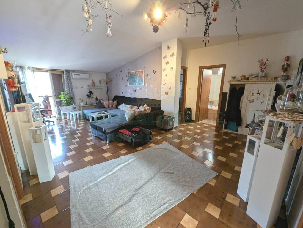 immagine annuncio 3 di 13