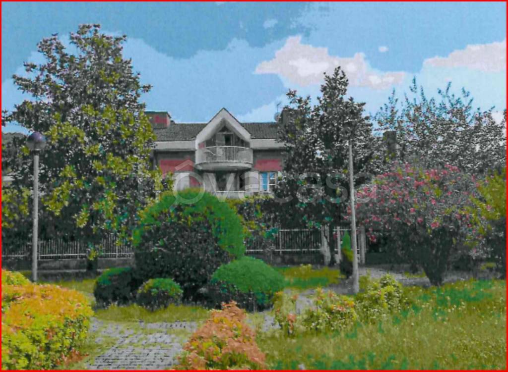 immagine annuncio 1 di 14