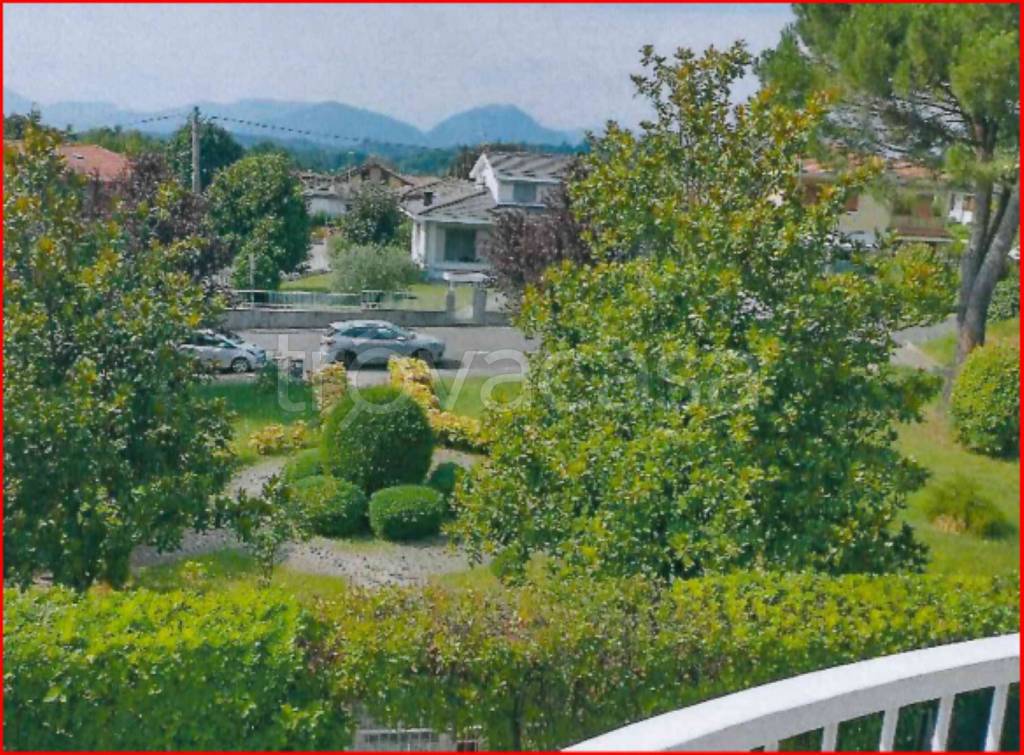 immagine annuncio 12 di 14