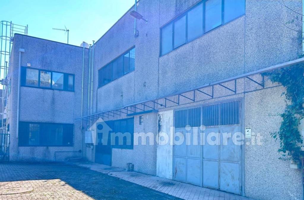 immagine annuncio 7 di 15