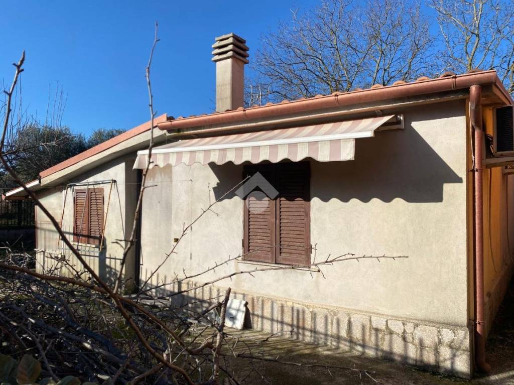 immagine annuncio 1 di 14