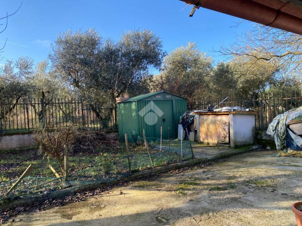 immagine annuncio 1 di 13