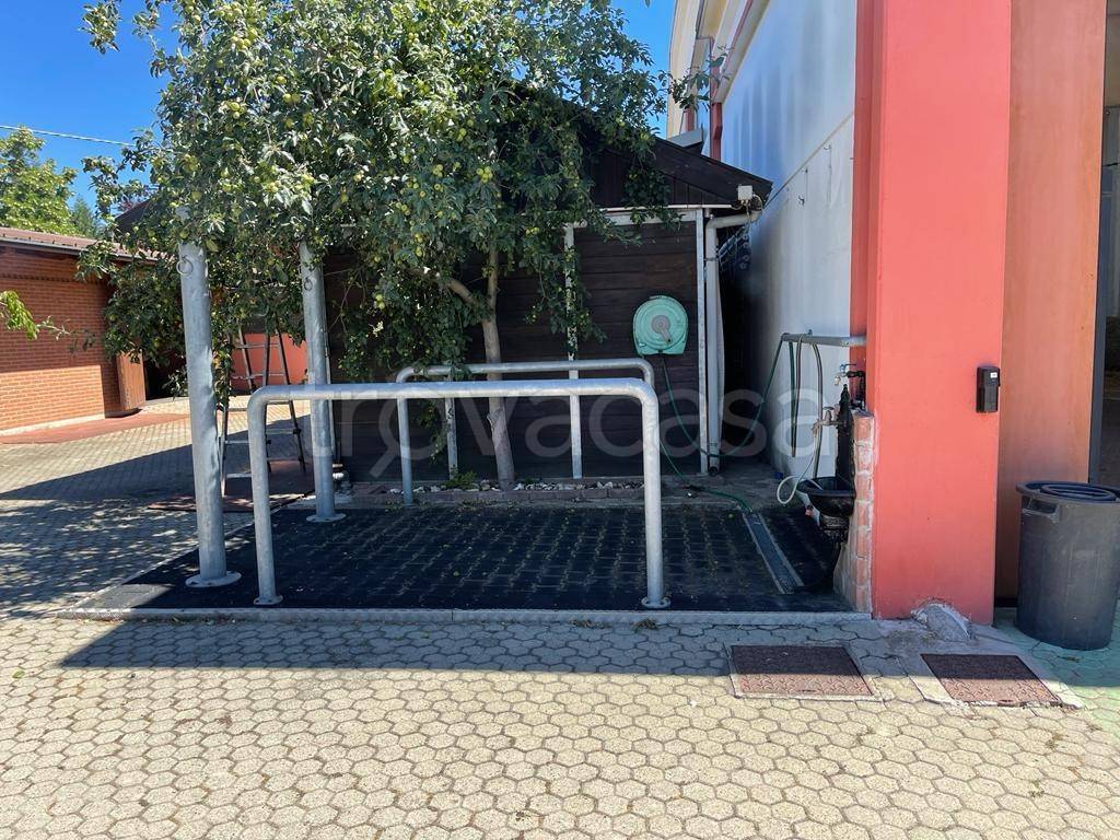 immagine annuncio 14 di 15