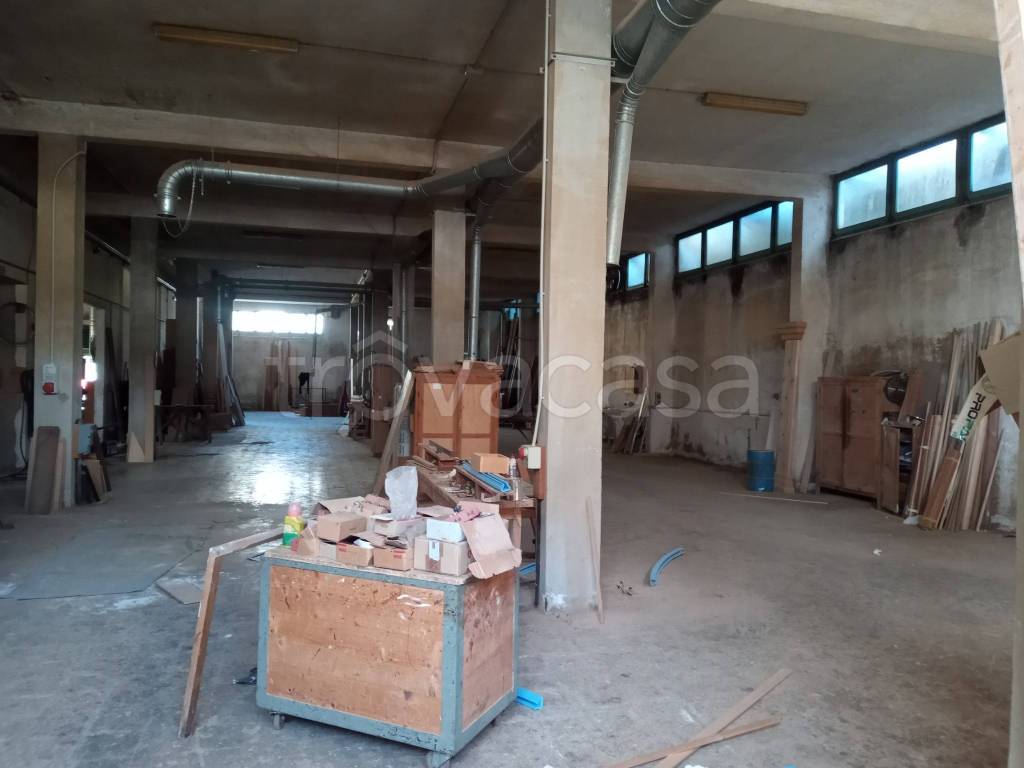 immagine annuncio 4 di 14