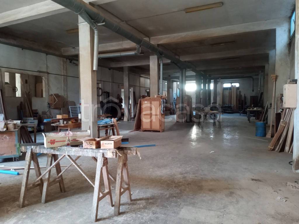 immagine annuncio 5 di 14