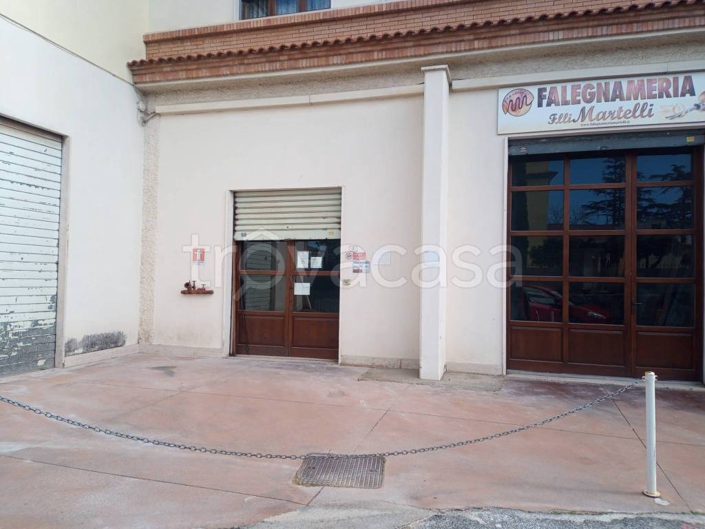 immagine annuncio 10 di 14