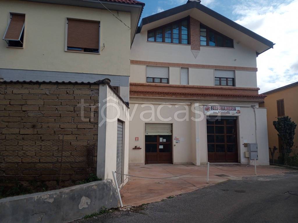 immagine annuncio 12 di 14