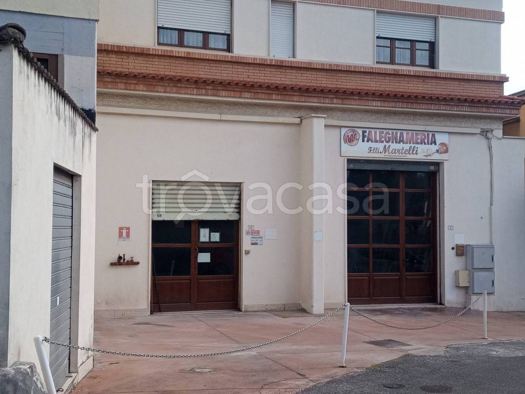 immagine annuncio 13 di 14