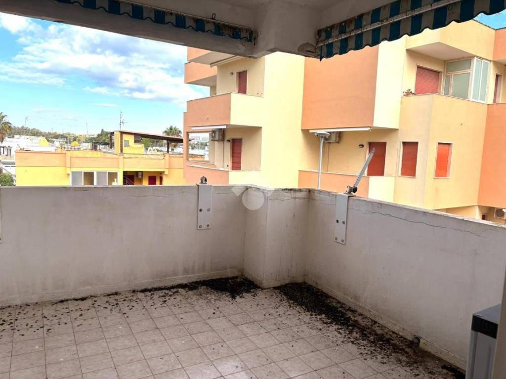 immagine annuncio 12 di 14