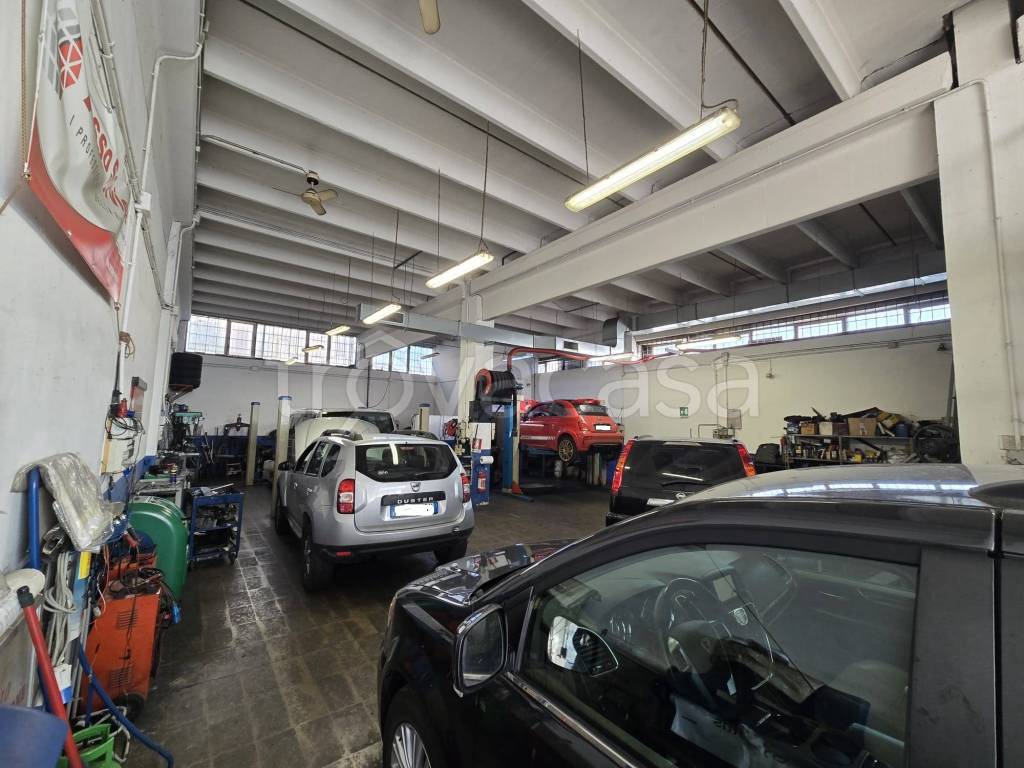 immagine annuncio 9 di 10