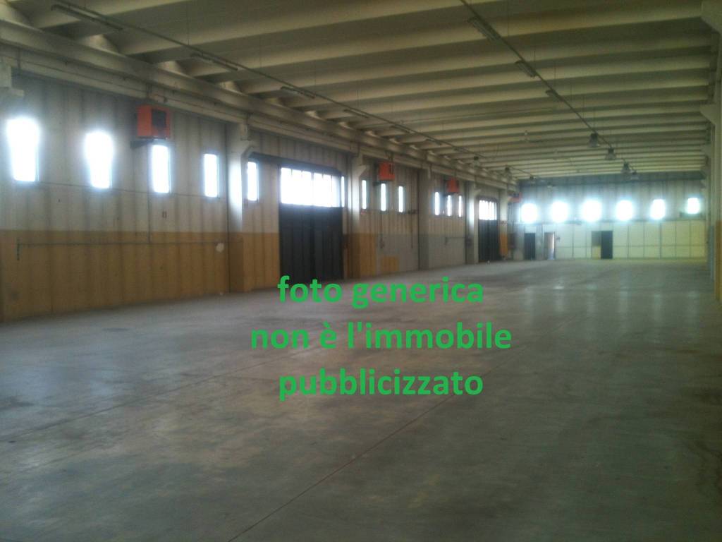 immagine annuncio 5 di 11