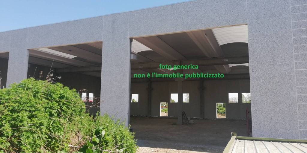 immagine annuncio 7 di 11