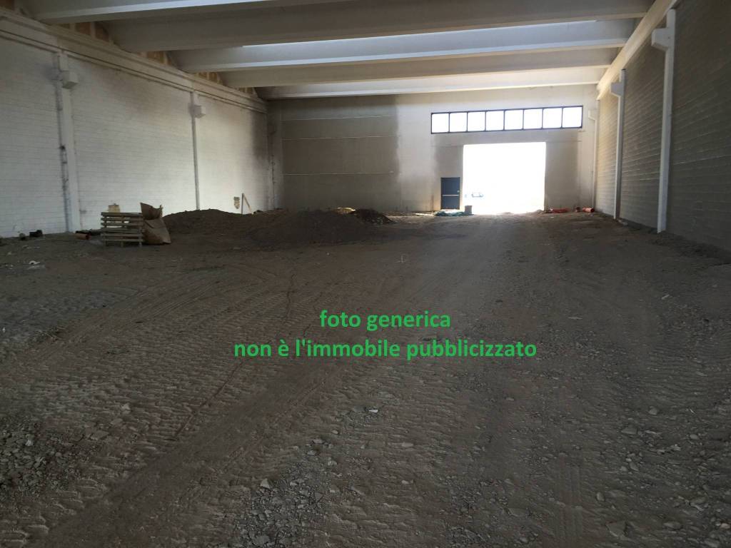 immagine annuncio 8 di 11