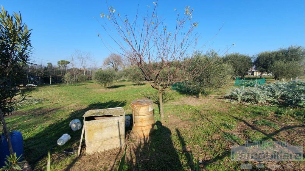 immagine annuncio 1 di 6