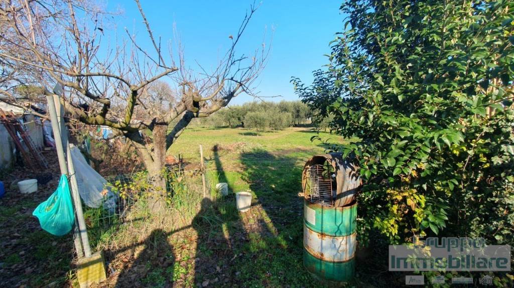 immagine annuncio 3 di 6