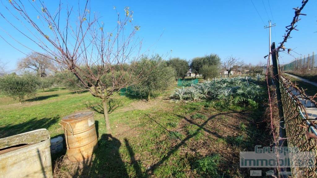 immagine annuncio 5 di 6