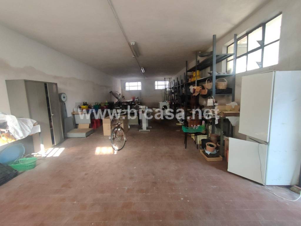 immagine annuncio 4 di 12