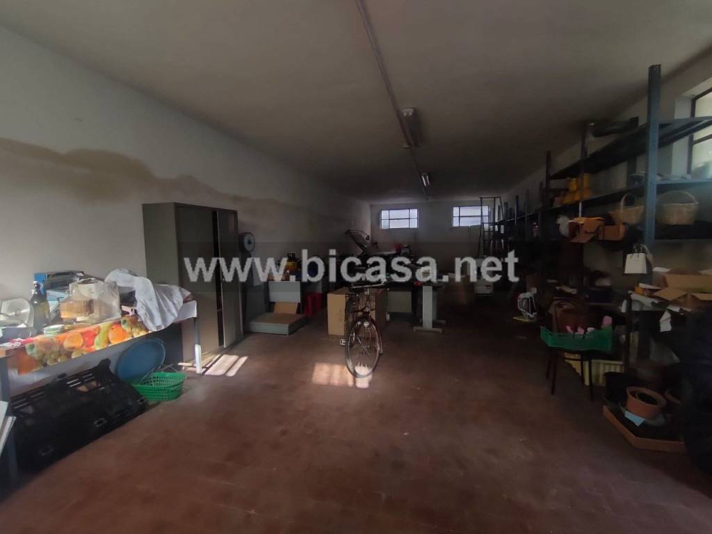 immagine annuncio 5 di 12