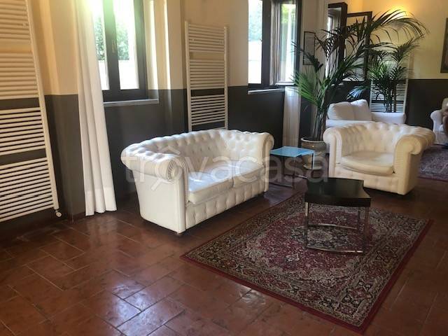 immagine annuncio 3 di 8