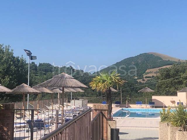 immagine annuncio 4 di 8