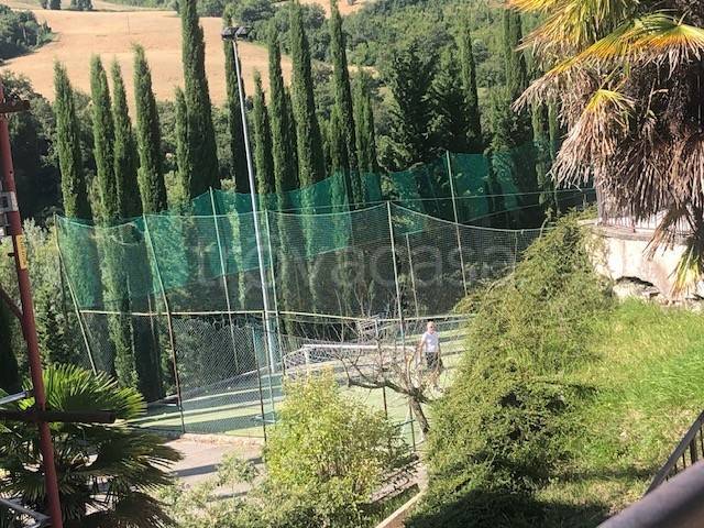 immagine annuncio 6 di 8