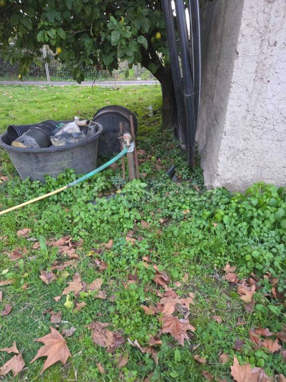 immagine annuncio 4 di 11