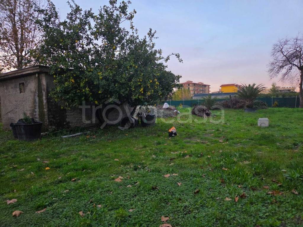 immagine annuncio 5 di 11