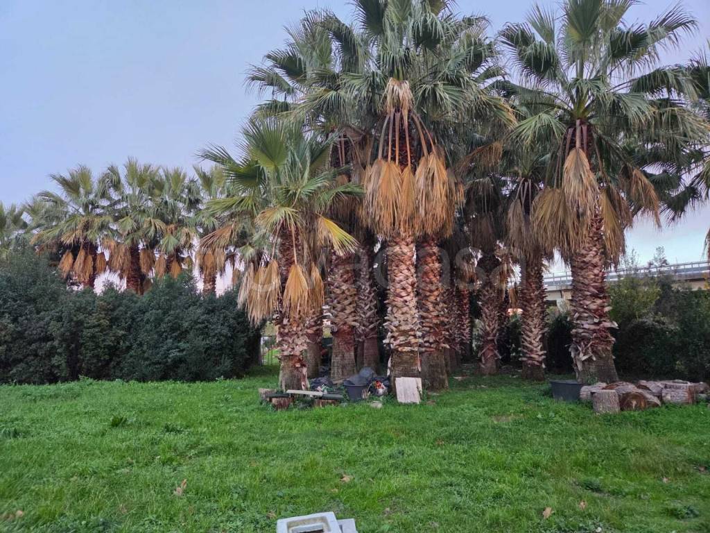 immagine annuncio 8 di 11