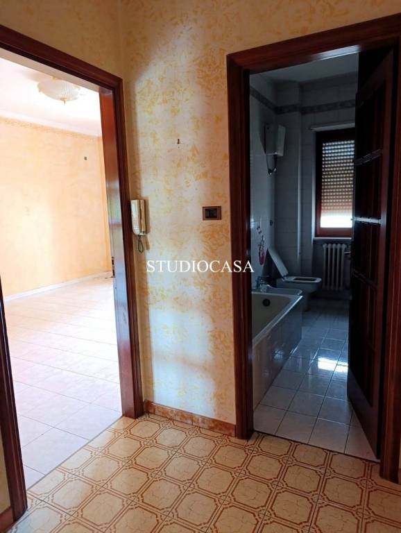 immagine annuncio 11 di 14