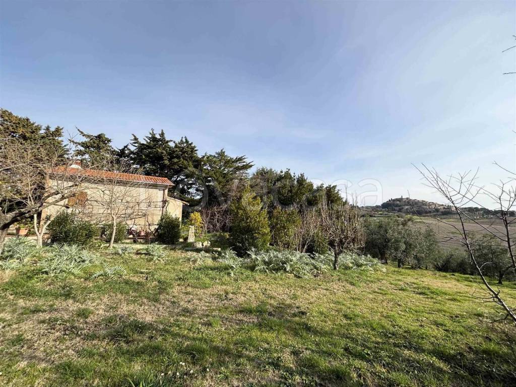 immagine annuncio 4 di 7