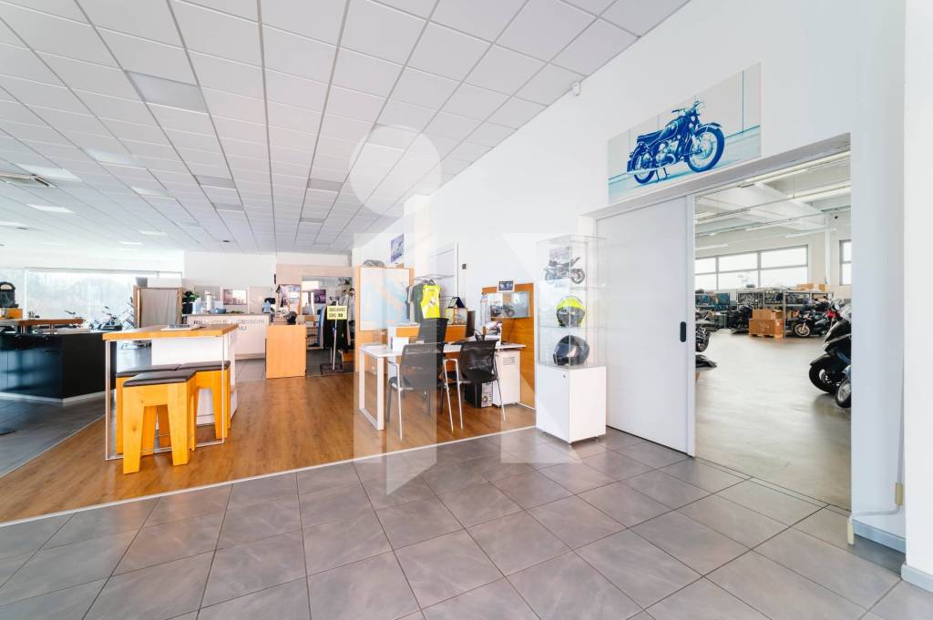 immagine annuncio 6 di 15