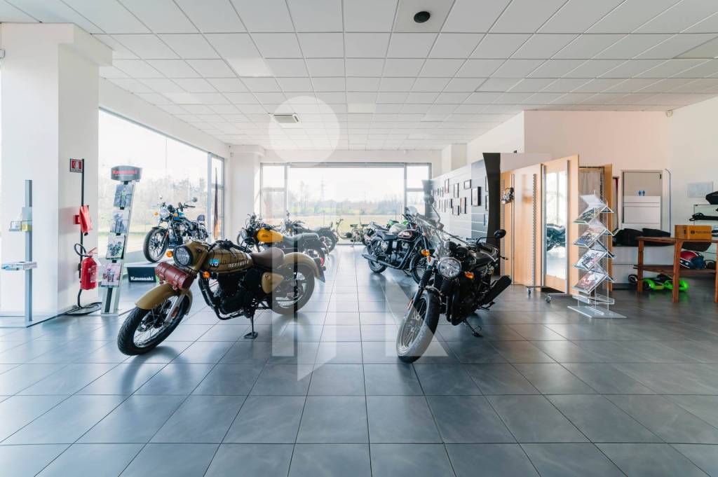 immagine annuncio 7 di 15