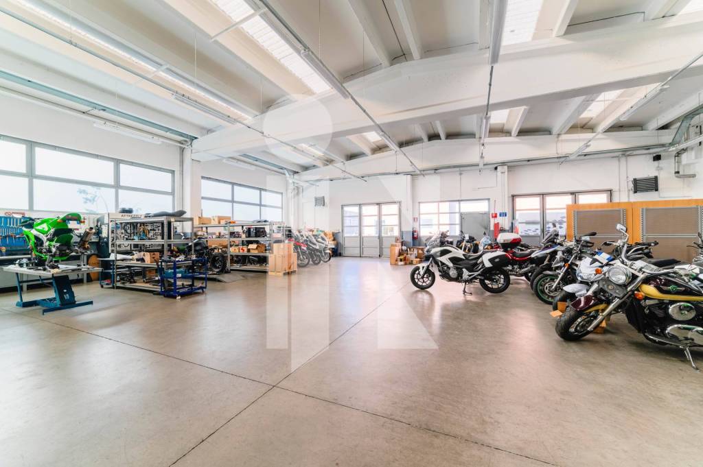 immagine annuncio 9 di 15