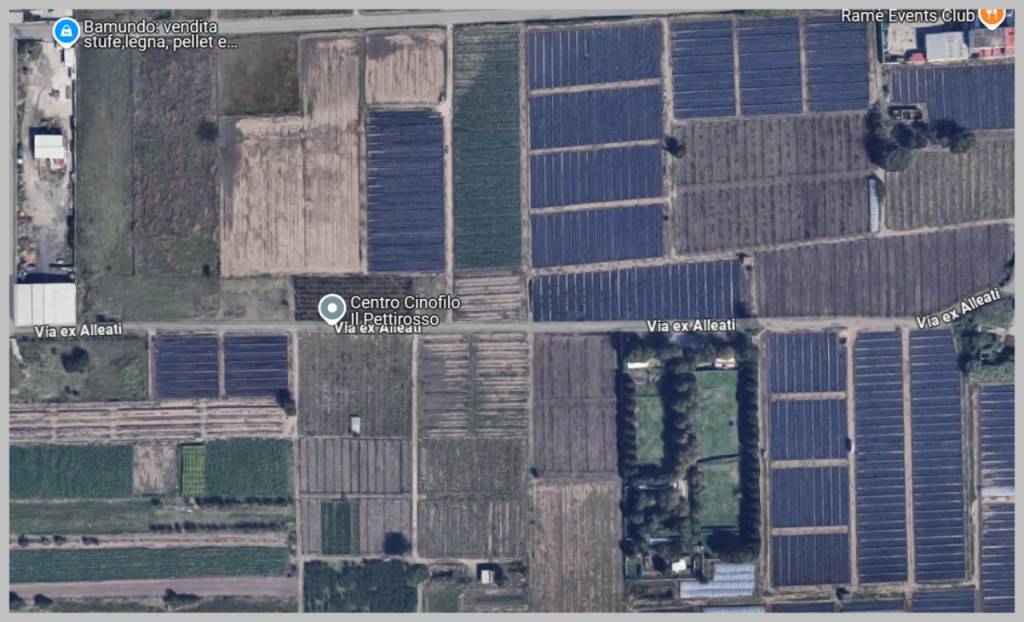 immagine annuncio 13 di 15