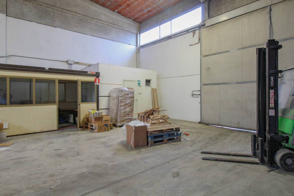 immagine annuncio 9 di 15