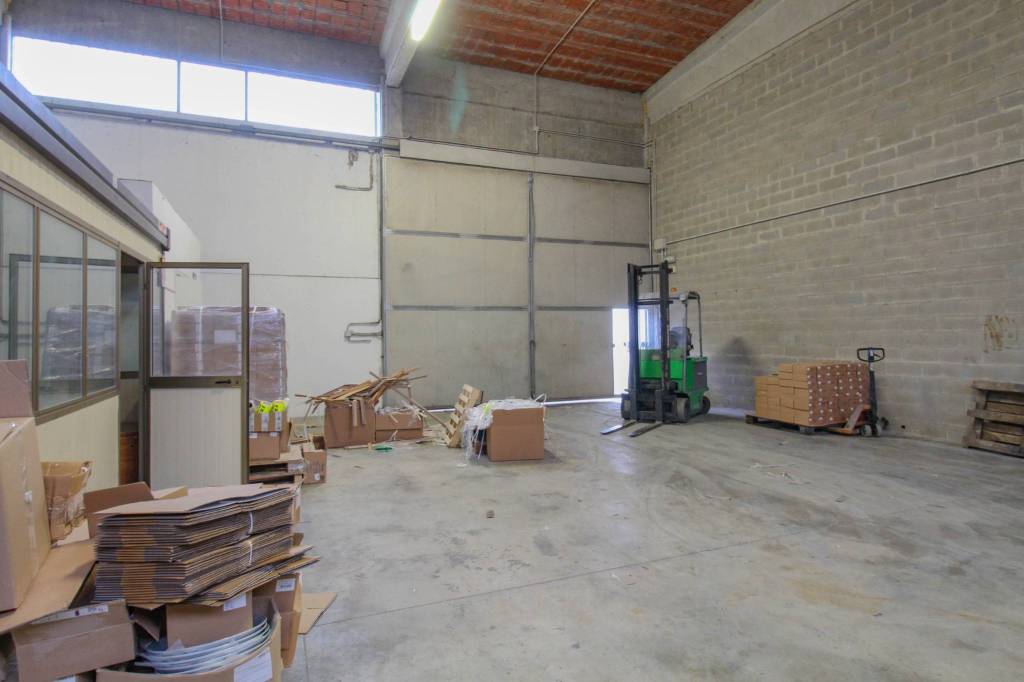 immagine annuncio 12 di 15