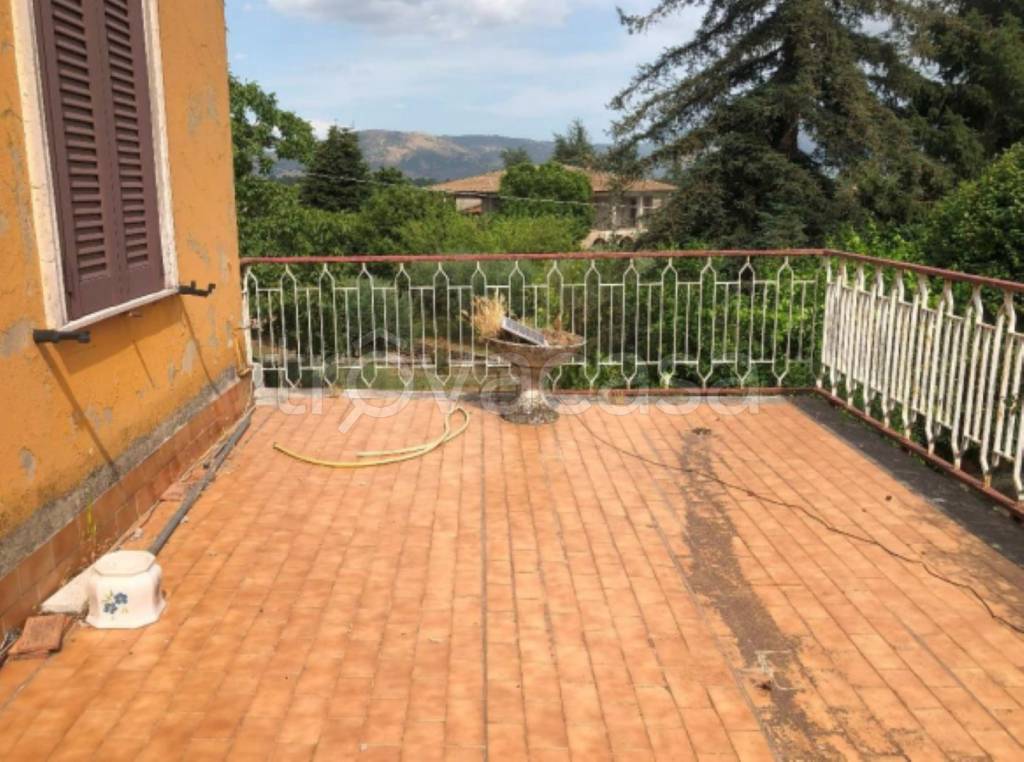 immagine annuncio 5 di 14