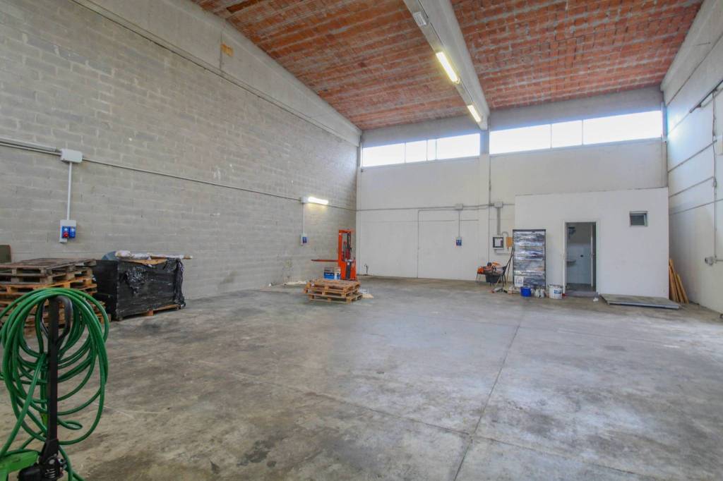 immagine annuncio 2 di 12