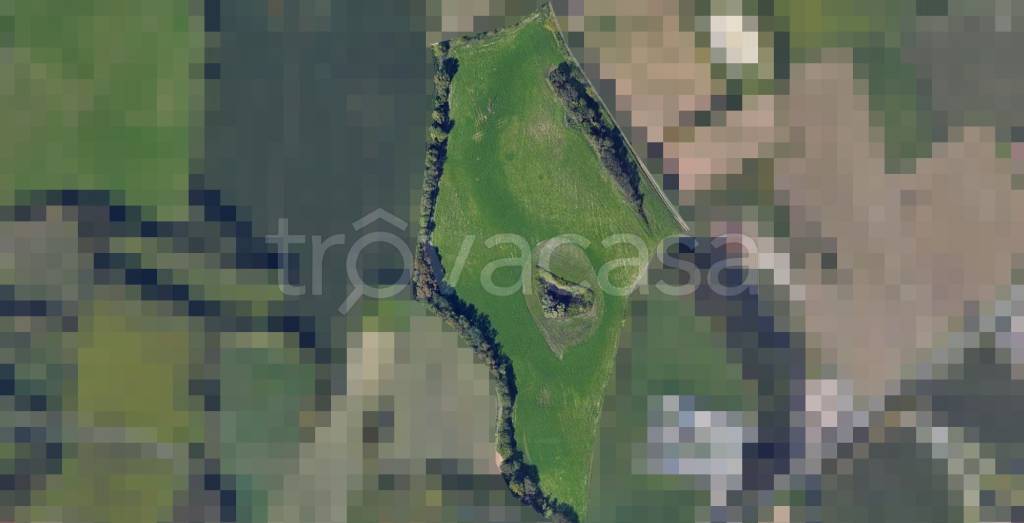 immagine annuncio 2 di 7