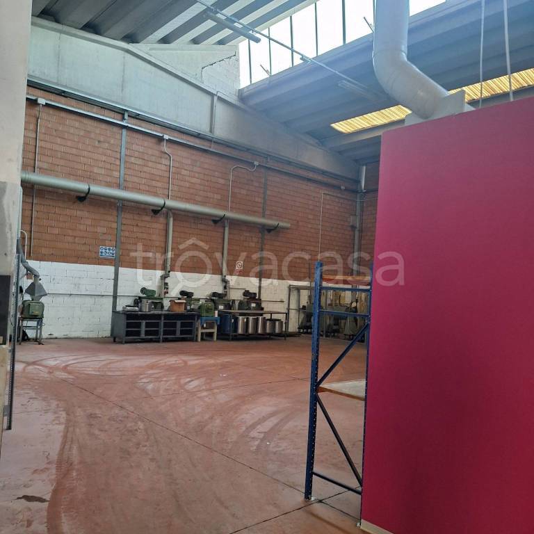 immagine annuncio 2 di 9