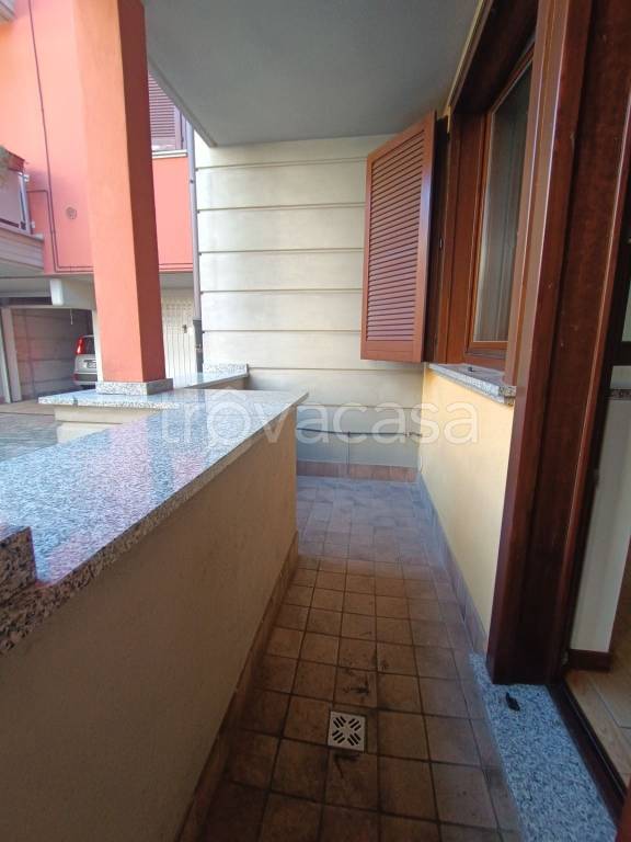 immagine annuncio 12 di 14