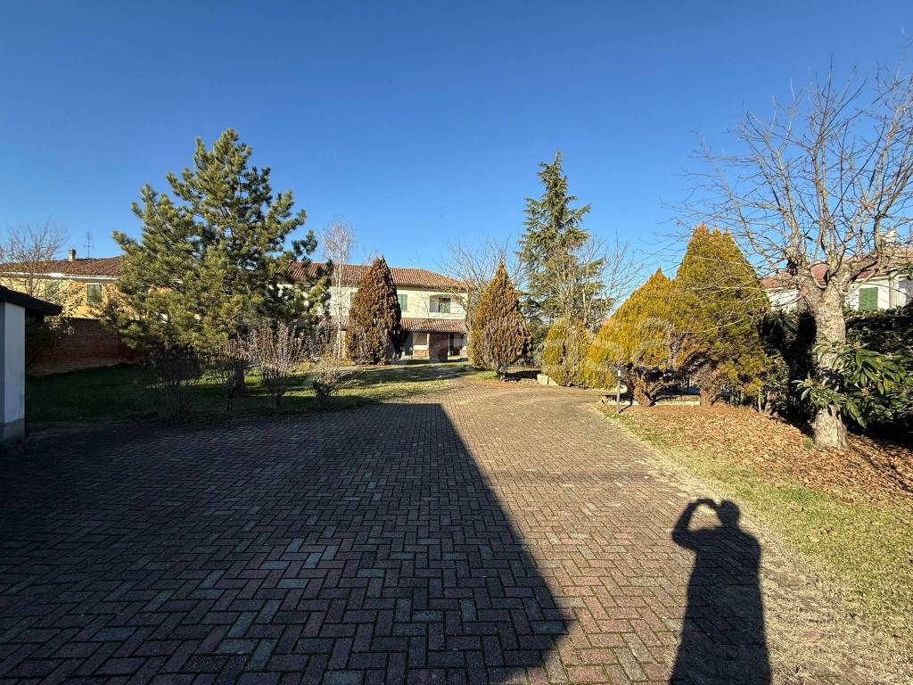 immagine annuncio 1 di 12