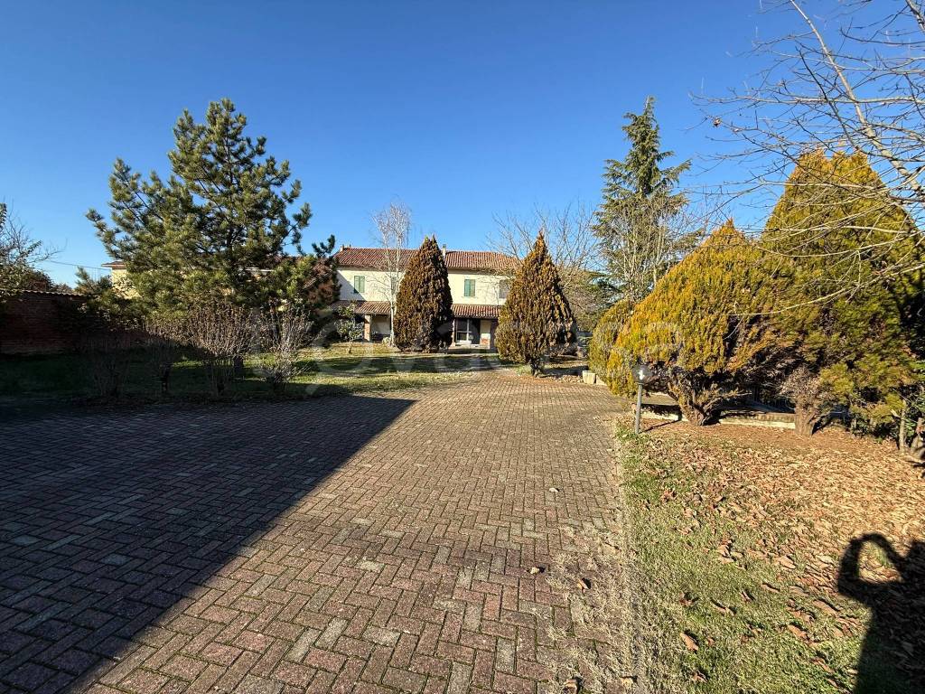 immagine annuncio 2 di 12