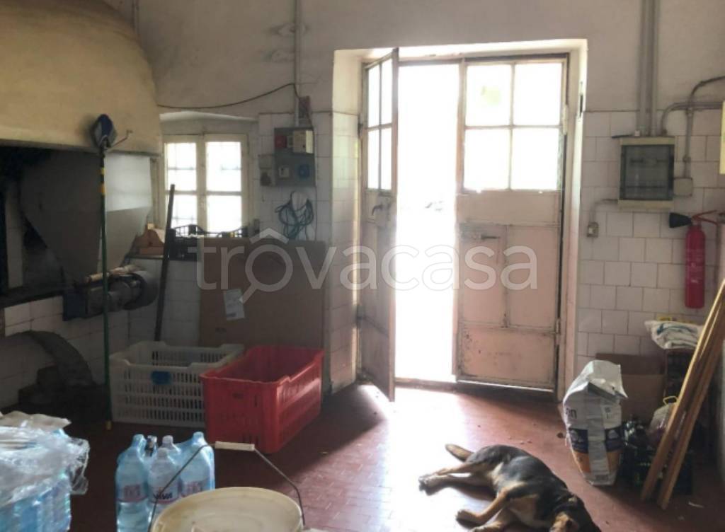 immagine annuncio 3 di 12